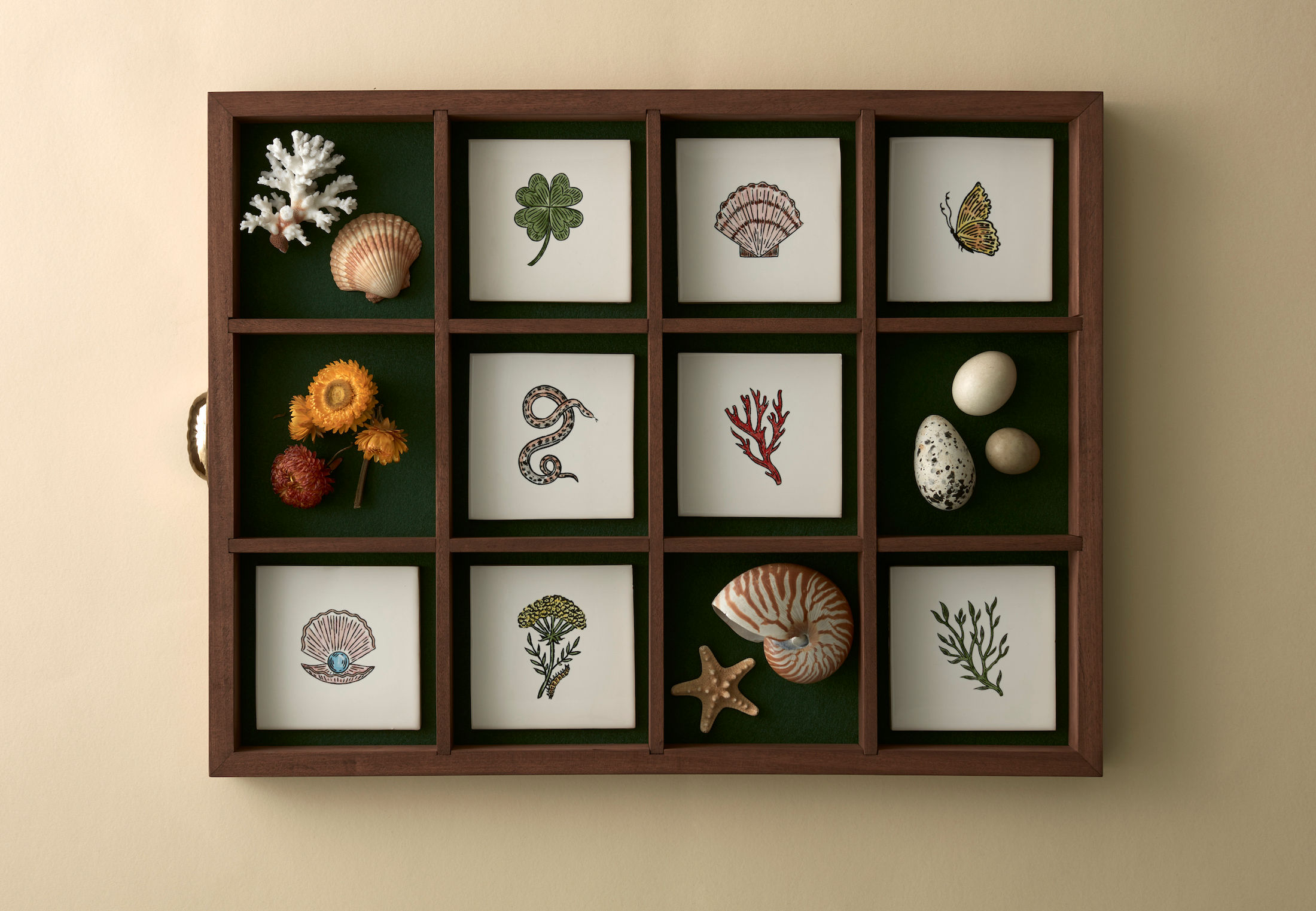Delicate Curiosities: Artist Fee Greening’s Botanical Drawings on Tiles, Wallpaper, and More